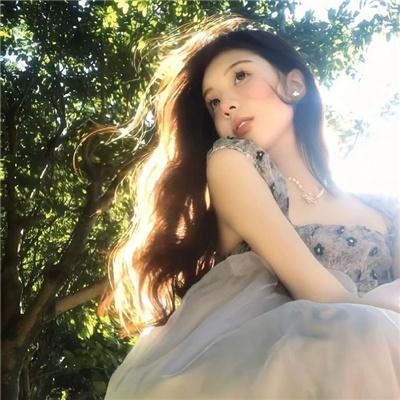 波特莱尔的冒险